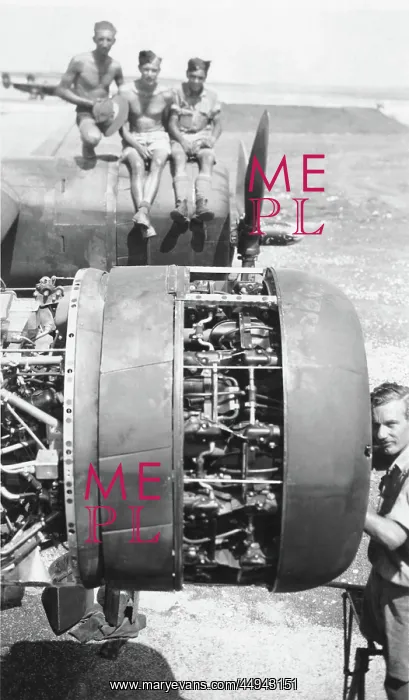 : Consolidated B-24 Liberator : Consolidated B-24 Liberator