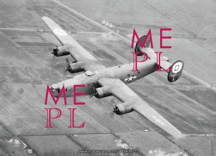 : Consolidated B-24 Liberator : Consolidated B-24 Liberator