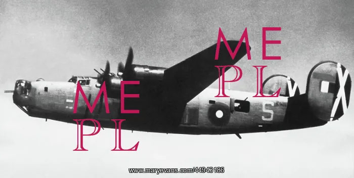 : Consolidated B-24 Liberator : Consolidated B-24 Liberator