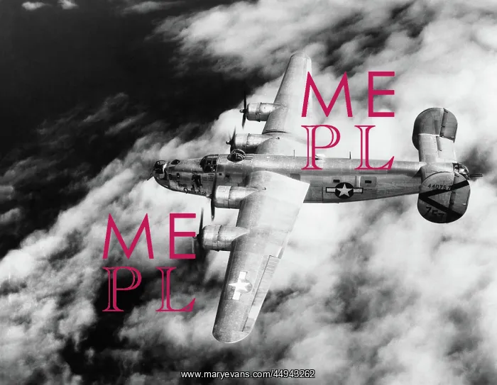 : Consolidated B-24 Liberator : Consolidated B-24 Liberator