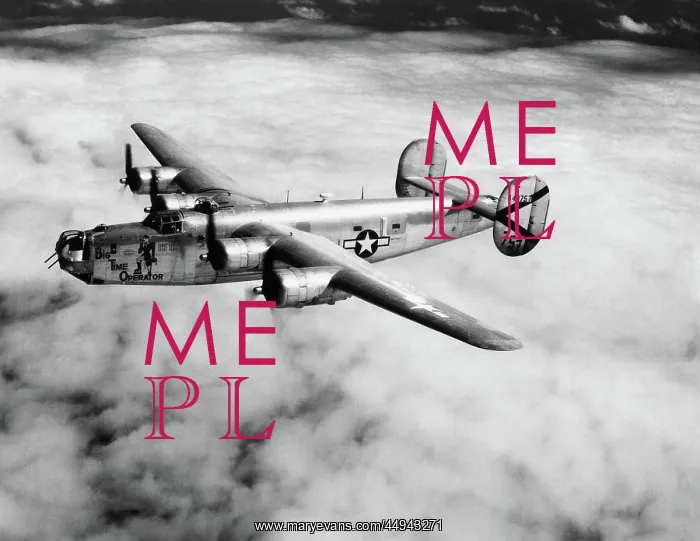 : Consolidated B-24 Liberator : Consolidated B-24 Liberator