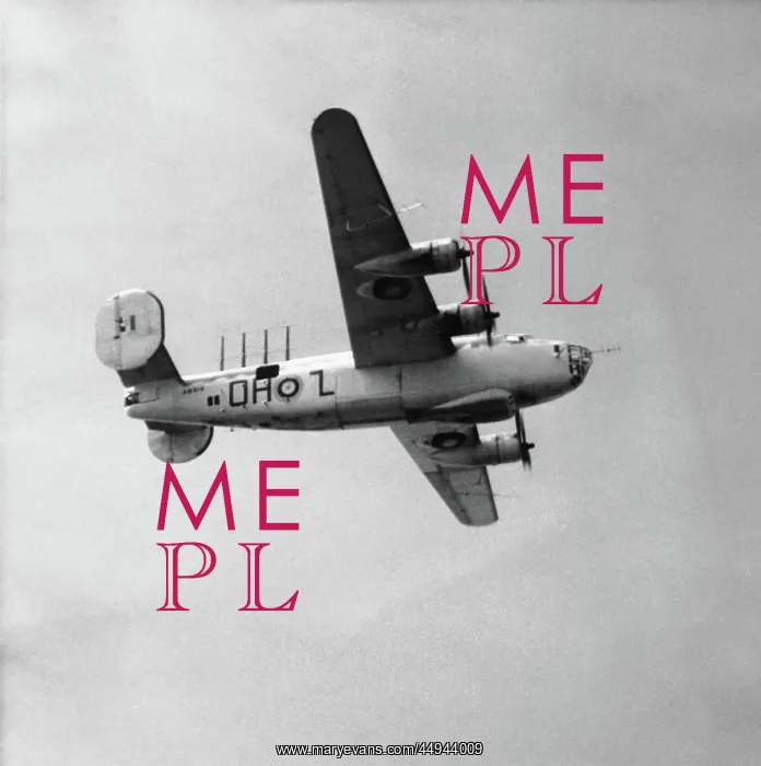 : Consolidated B-24 Liberator : Consolidated B-24 Liberator
