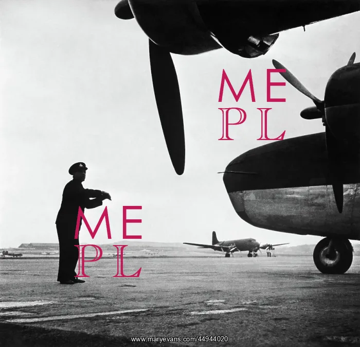 : Consolidated B-24 Liberator : Consolidated B-24 Liberator