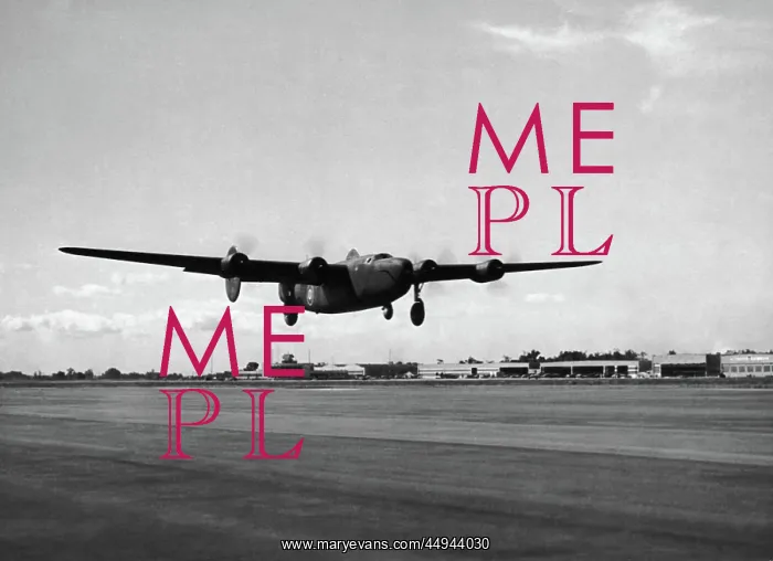 : Consolidated B-24 Liberator : Consolidated B-24 Liberator