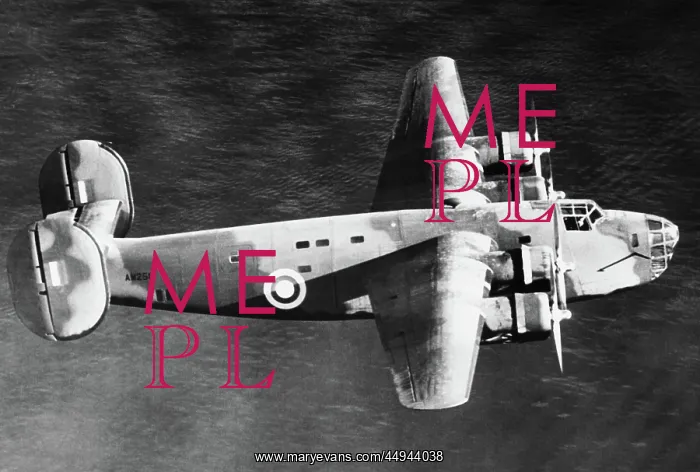 : Consolidated B-24 Liberator : Consolidated B-24 Liberator