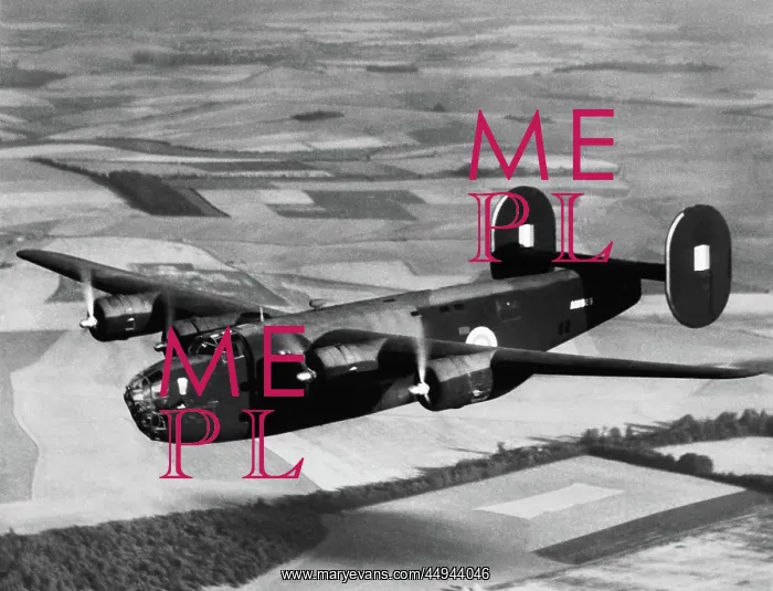 : Consolidated B-24 Liberator : Consolidated B-24 Liberator