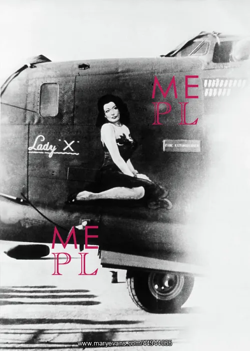 : Consolidated B-24 Liberator : Consolidated B-24 Liberator