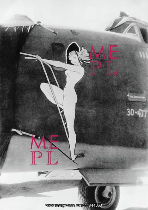 : Consolidated B-24 Liberator : Consolidated B-24 Liberator