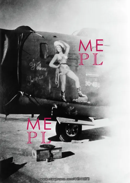 : Consolidated B-24 Liberator : Consolidated B-24 Liberator
