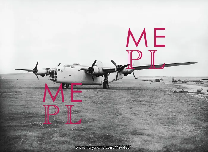: Consolidated B-24 Liberator : Consolidated B-24 Liberator