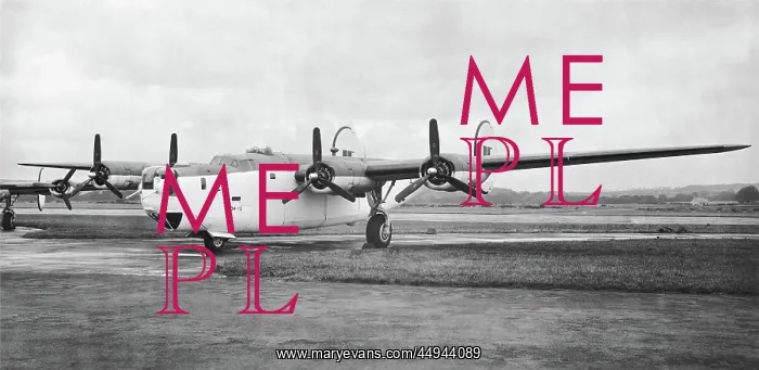 : Consolidated B-24 Liberator : Consolidated B-24 Liberator