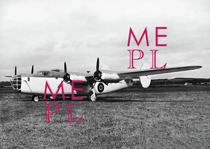 : Consolidated B-24 Liberator : Consolidated B-24 Liberator