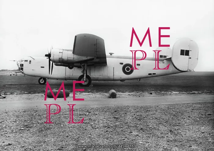 : Consolidated B-24 Liberator : Consolidated B-24 Liberator