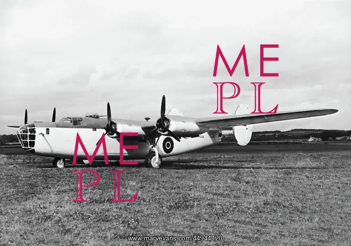 : Consolidated B-24 Liberator : Consolidated B-24 Liberator