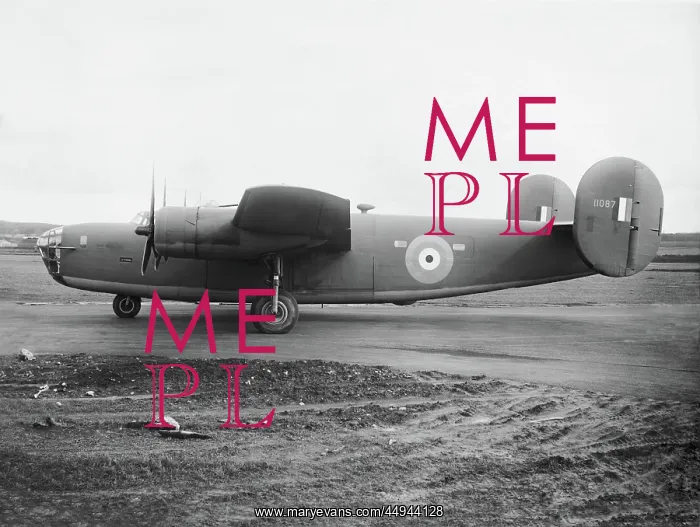 : Consolidated B-24 Liberator : Consolidated B-24 Liberator