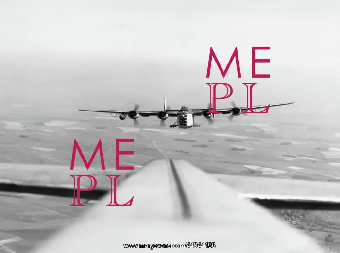 : Consolidated B-24 Liberator : Consolidated B-24 Liberator