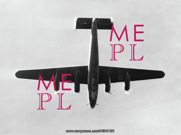 : Consolidated B-24 Liberator : Consolidated B-24 Liberator