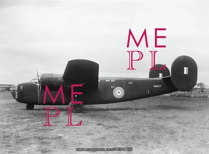 : Consolidated B-24 Liberator : Consolidated B-24 Liberator