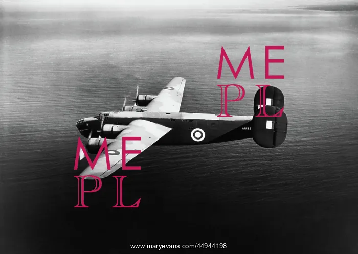 : Consolidated B-24 Liberator : Consolidated B-24 Liberator