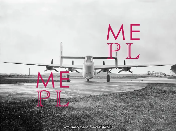 : Consolidated B-24 Liberator : Consolidated B-24 Liberator