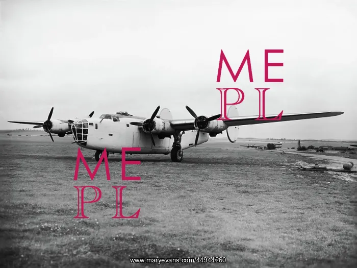 : Consolidated B-24 Liberator : Consolidated B-24 Liberator