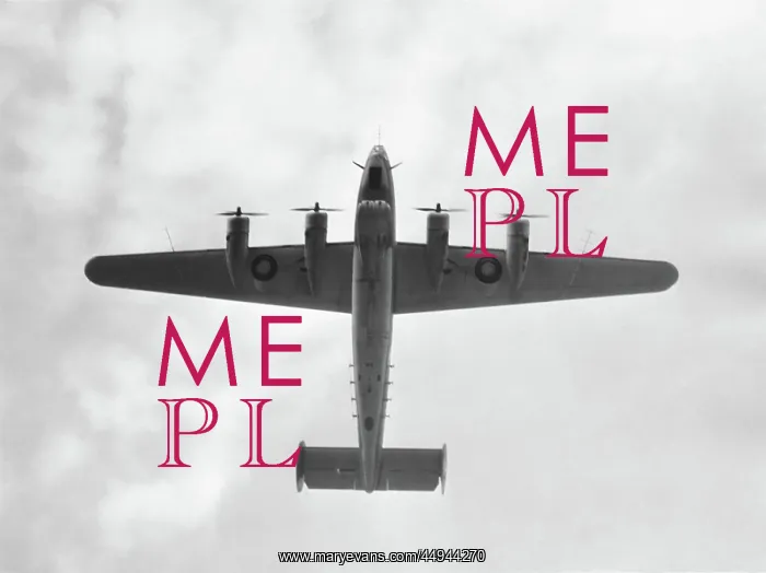 : Consolidated B-24 Liberator : Consolidated B-24 Liberator