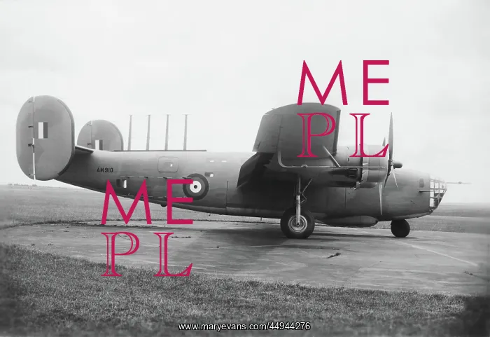: Consolidated B-24 Liberator : Consolidated B-24 Liberator