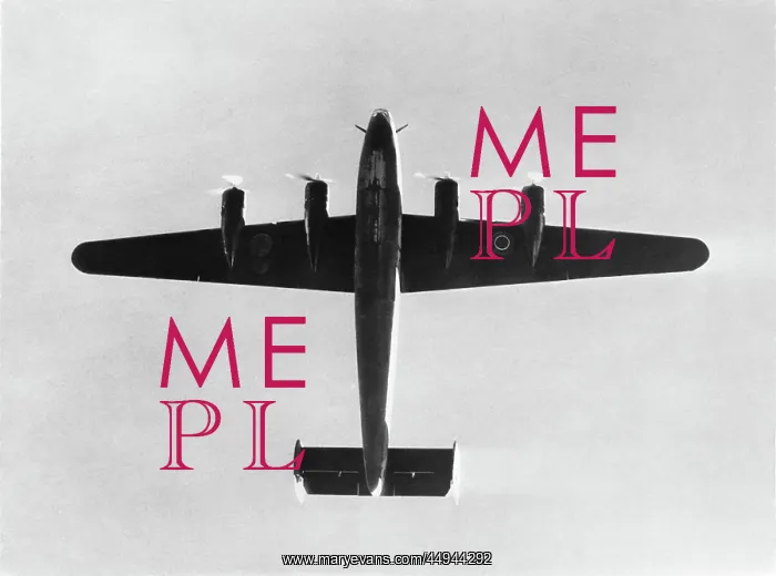 : Consolidated B-24 Liberator : Consolidated B-24 Liberator