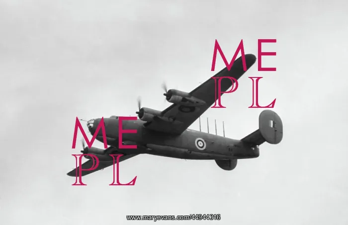 : Consolidated B-24 Liberator : Consolidated B-24 Liberator