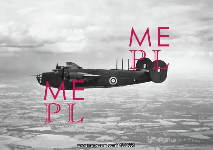 : Consolidated B-24 Liberator : Consolidated B-24 Liberator
