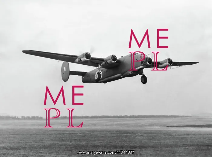 : Consolidated B-24 Liberator : Consolidated B-24 Liberator