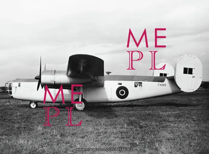 : Consolidated B-24 Liberator : Consolidated B-24 Liberator
