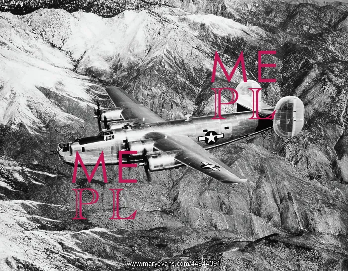 : Consolidated B-24 Liberator : Consolidated B-24 Liberator