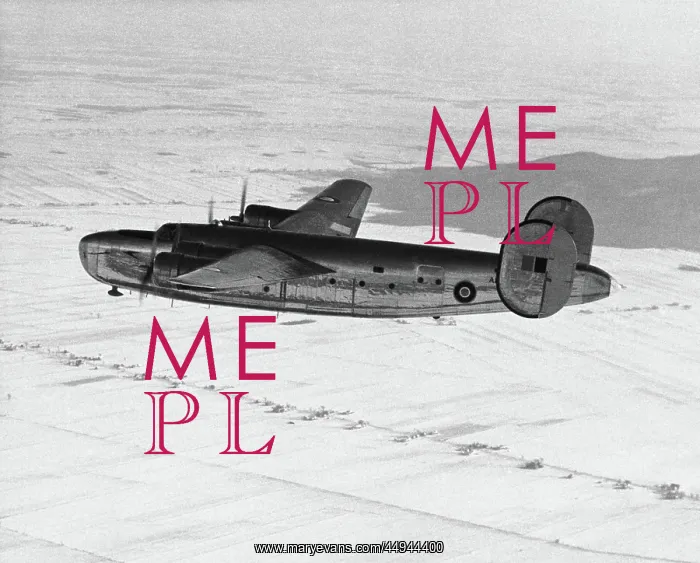 : Consolidated B-24 Liberator : Consolidated B-24 Liberator