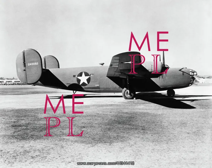 : Consolidated B-24 Liberator : Consolidated B-24 Liberator