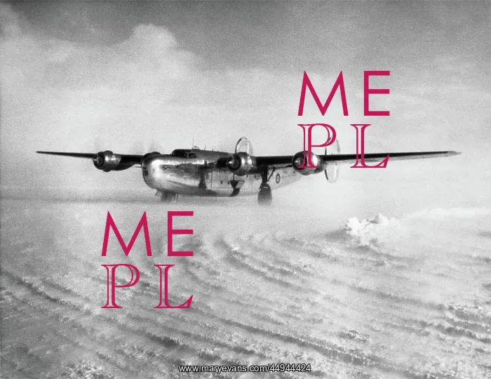 : Consolidated B-24 Liberator : Consolidated B-24 Liberator