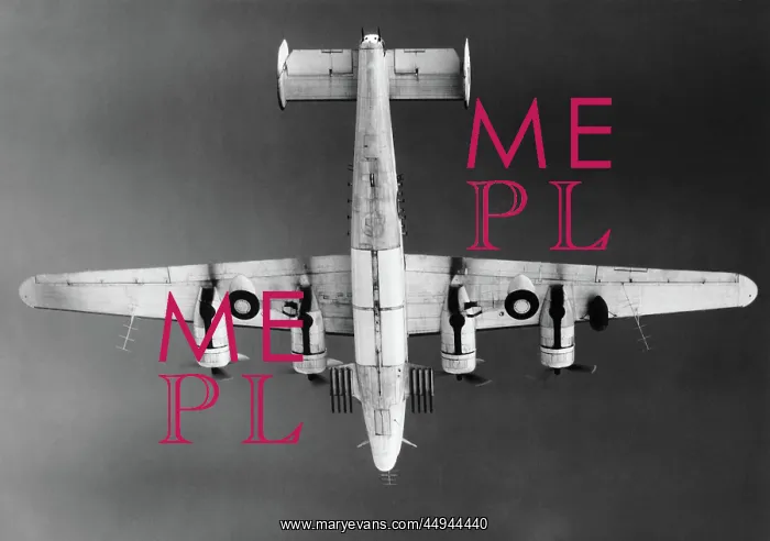 : Consolidated B-24 Liberator : Consolidated B-24 Liberator