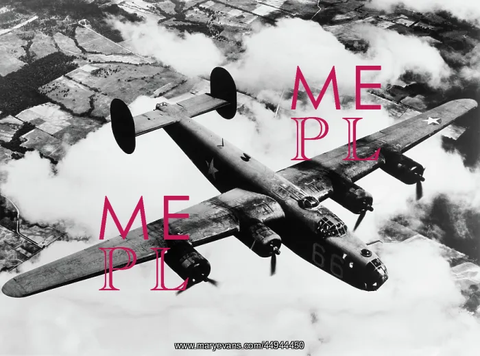 : Consolidated B-24 Liberator : Consolidated B-24 Liberator
