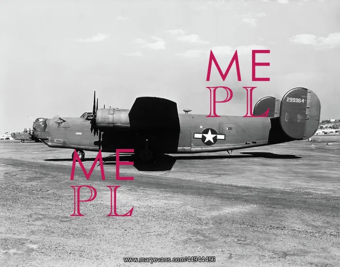 : Consolidated B-24 Liberator : Consolidated B-24 Liberator