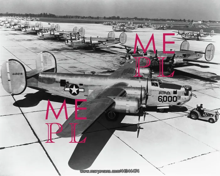 : Consolidated B-24 Liberator : Consolidated B-24 Liberator