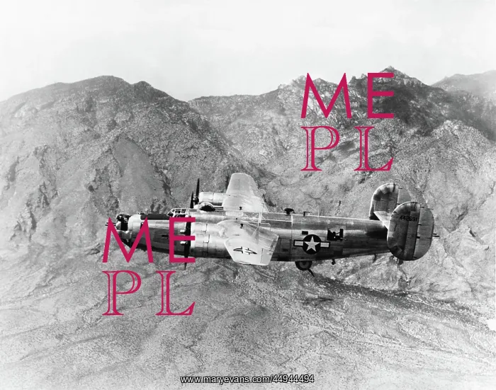 : Consolidated B-24 Liberator : Consolidated B-24 Liberator