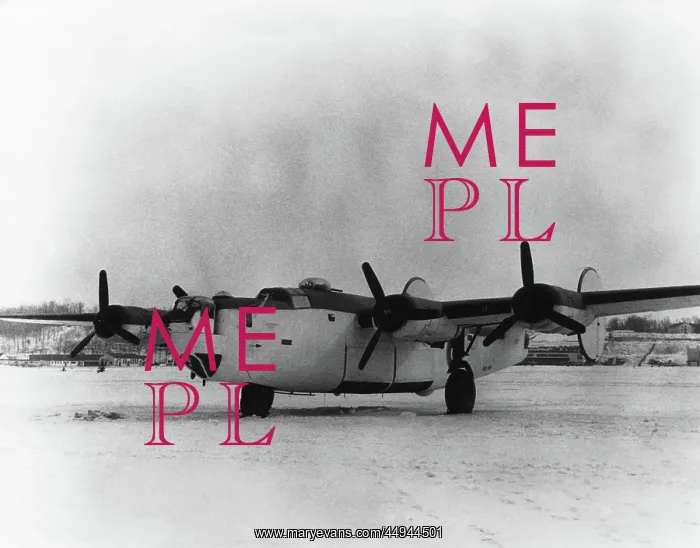 : Consolidated B-24 Liberator : Consolidated B-24 Liberator