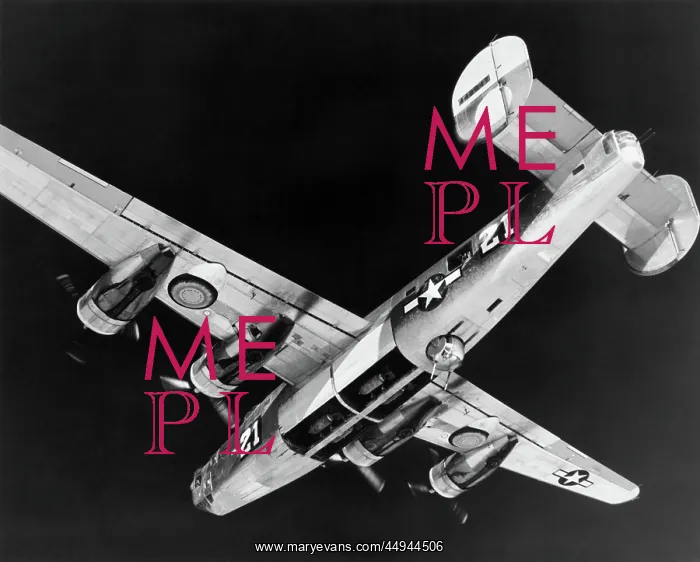 : Consolidated B-24 Liberator : Consolidated B-24 Liberator