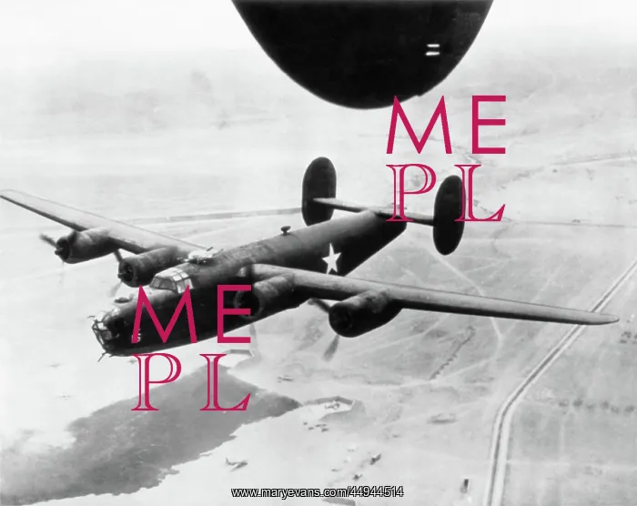 : Consolidated B-24 Liberator : Consolidated B-24 Liberator