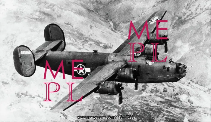 : Consolidated B-24 Liberator : Consolidated B-24 Liberator
