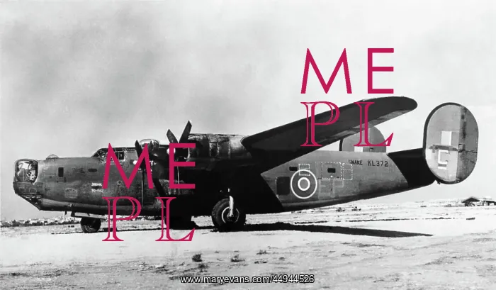 : Consolidated B-24 Liberator : Consolidated B-24 Liberator