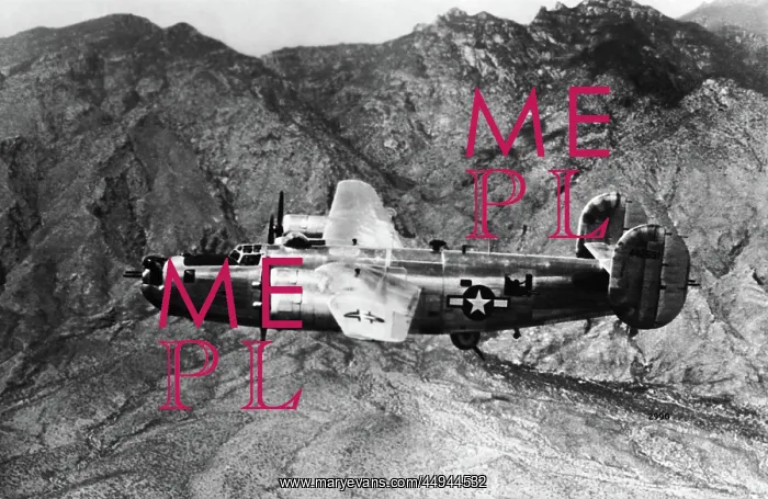 : Consolidated B-24 Liberator : Consolidated B-24 Liberator
