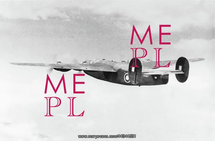 : Consolidated B-24 Liberator : Consolidated B-24 Liberator