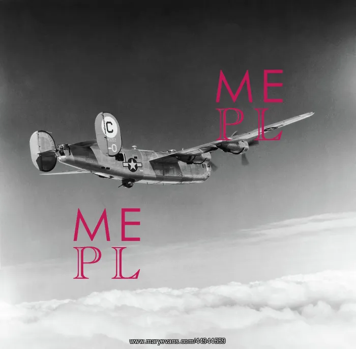 : Consolidated B-24 Liberator : Consolidated B-24 Liberator