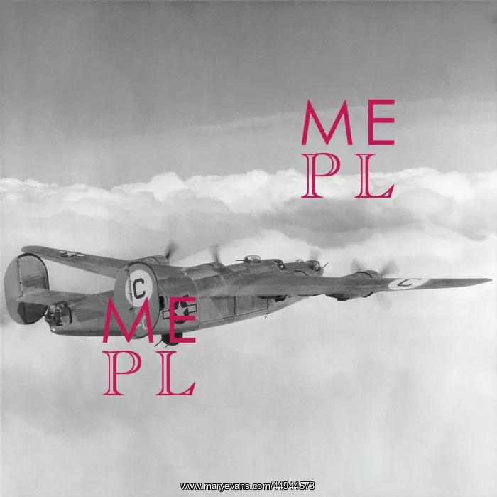 : Consolidated B-24 Liberator : Consolidated B-24 Liberator